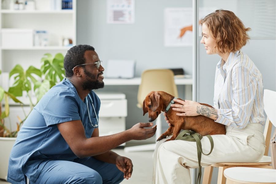 Veterinarian talking to a happy client.