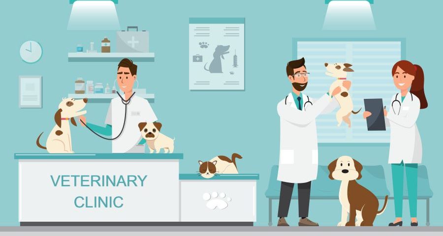 veterinary practice ownership
