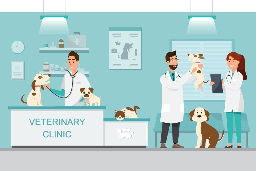 veterinary practice ownership