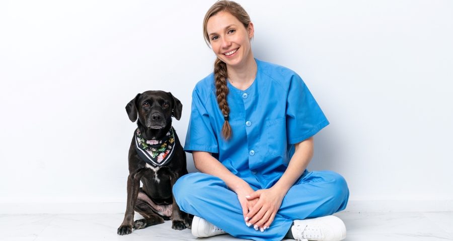 Veterinarians and Job Satisfaction