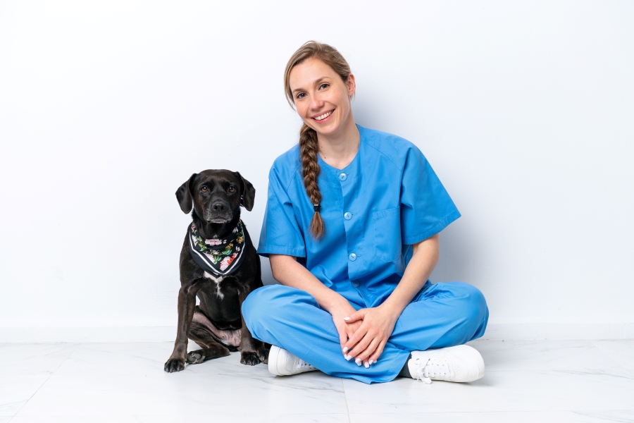 Veterinarians and Job Satisfaction